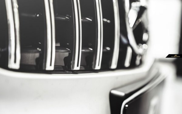 BENZ ベンツ W176 Aクラス 前期用GTR パナメリカーナ グリル GTグリル