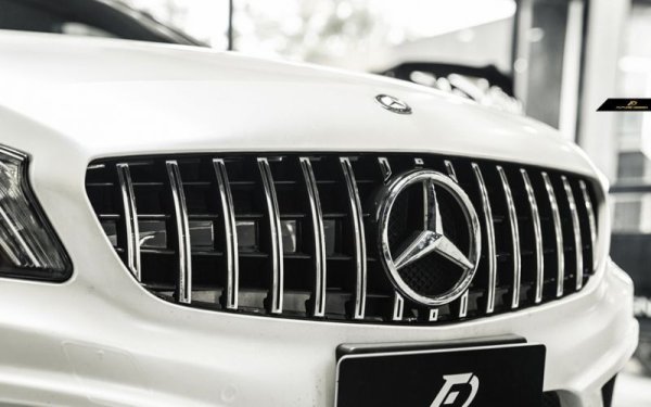 BENZ ベンツ W176 Aクラス 前期用GTR パナメリカーナ グリル GTグリル