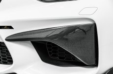 画像1: BMW F87 M2 フロントバンパー用カーボンスプリッター カバー 本物DryCarbon ドライカーボン スポイラー COVER (1)