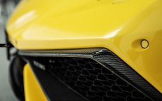 画像9: Lamborghini ランボルギーニ Huracan ウラカン LP610-4 フロント用ガーニッシュ カナード 本物DryCarbon ドライカーボン (9)