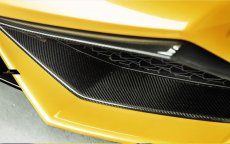 画像8: Lamborghini ランボルギーニ Huracan ウラカン LP610-4 フロント用ガーニッシュ カナード 本物DryCarbon ドライカーボン (8)