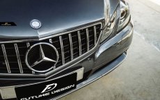 画像6: BENZ メルセデス・ベンツ W207 Eクラス クーペ 前期車 フロント用 GT パナメリカーナグリル C207 (6)