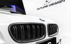 画像3: BMW 5シリーズ F10 F11 フロント用 艶ありブラックキドニーグリル センターグリル (3)