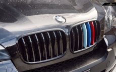 画像3: BMW Xシリーズ X5 E70 専用フロント用艶ありブラック 青紺赤 キドニーグリル センターグリル (3)