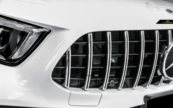 BENZ メルセデス・ベンツ CLS-Class C257 CLS53専用 AMGパナメリカーナ