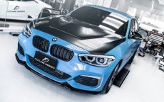 画像3: BMW 1シリーズ F20 ボンネット用GTS仕様 エンジンフード (3)