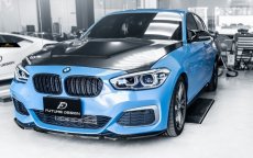 画像2: BMW 1シリーズ F20 ボンネット用GTS仕様 エンジンフード (2)