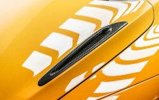 画像4: McLaren マクラーレン 720S ボンネット用ダクト 本物Drycabon ドライカーボン (4)