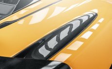 画像2: McLaren マクラーレン 720S エアーインテークサイドウォール 本物Drycabon ドライカーボン パフォーマンス  (2)