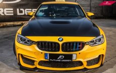 画像1: BMW F30 F31 3シリーズ 用 M ドーム式 ボンネット Mエンジンフード 隆起タイプ ダクト (1)