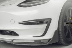 画像1: TESLA テスラ MODEL モデル 3 フロントバンパー用 スプリッター スポイラー 本物Drycarbon ドライカーボン (1)