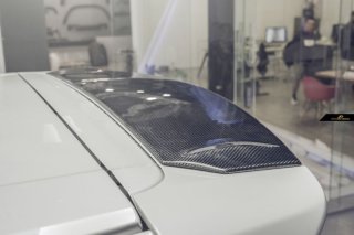 ALPHARD（30系） - Future Design Drycarbon parts