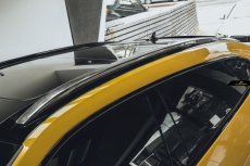 画像1: Lamborghini URUS ウルス  ルーフキャリアーバー カバー 本物DryCarbon ドライカーボン (1)