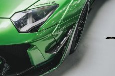 画像1: 【カスタムメイド】Lamborghini ランボルギーニ LP700-4 フロント用 カナード 本物Carbon カーボン (1)