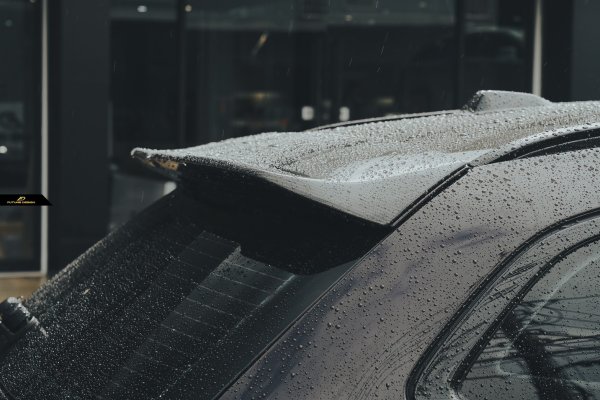 BMW 3シリーズ G21 ツーリング リアスポイラー 本物DryCarbon ドライ